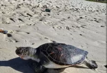 screenshot 20251121 180947