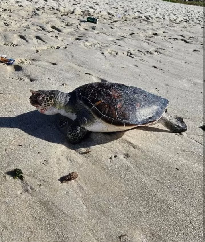 screenshot 20251121 180947