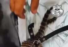 screenshot 20251125 162111