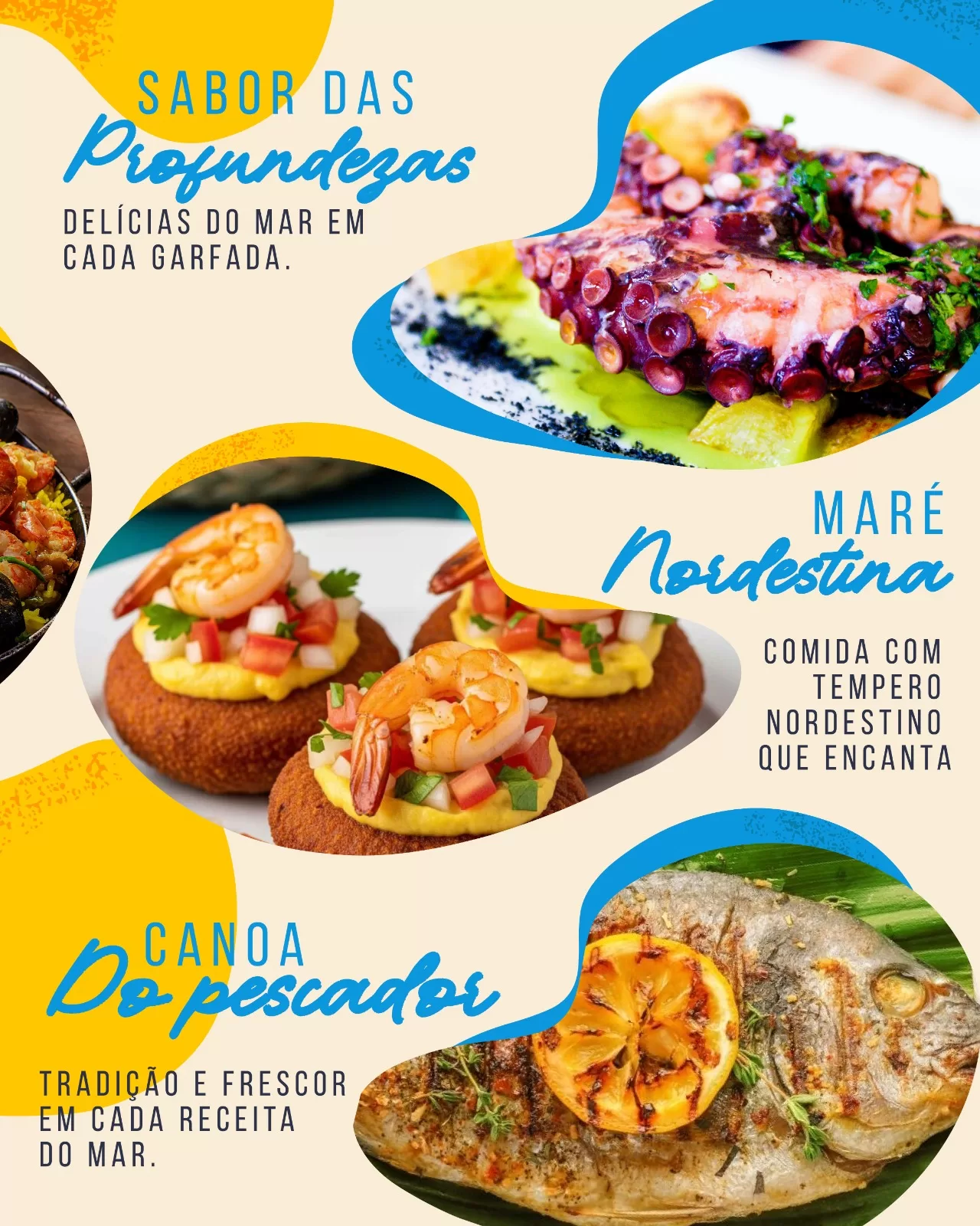 whatsapp image 2025 11 05 at 14.33.05 (3)