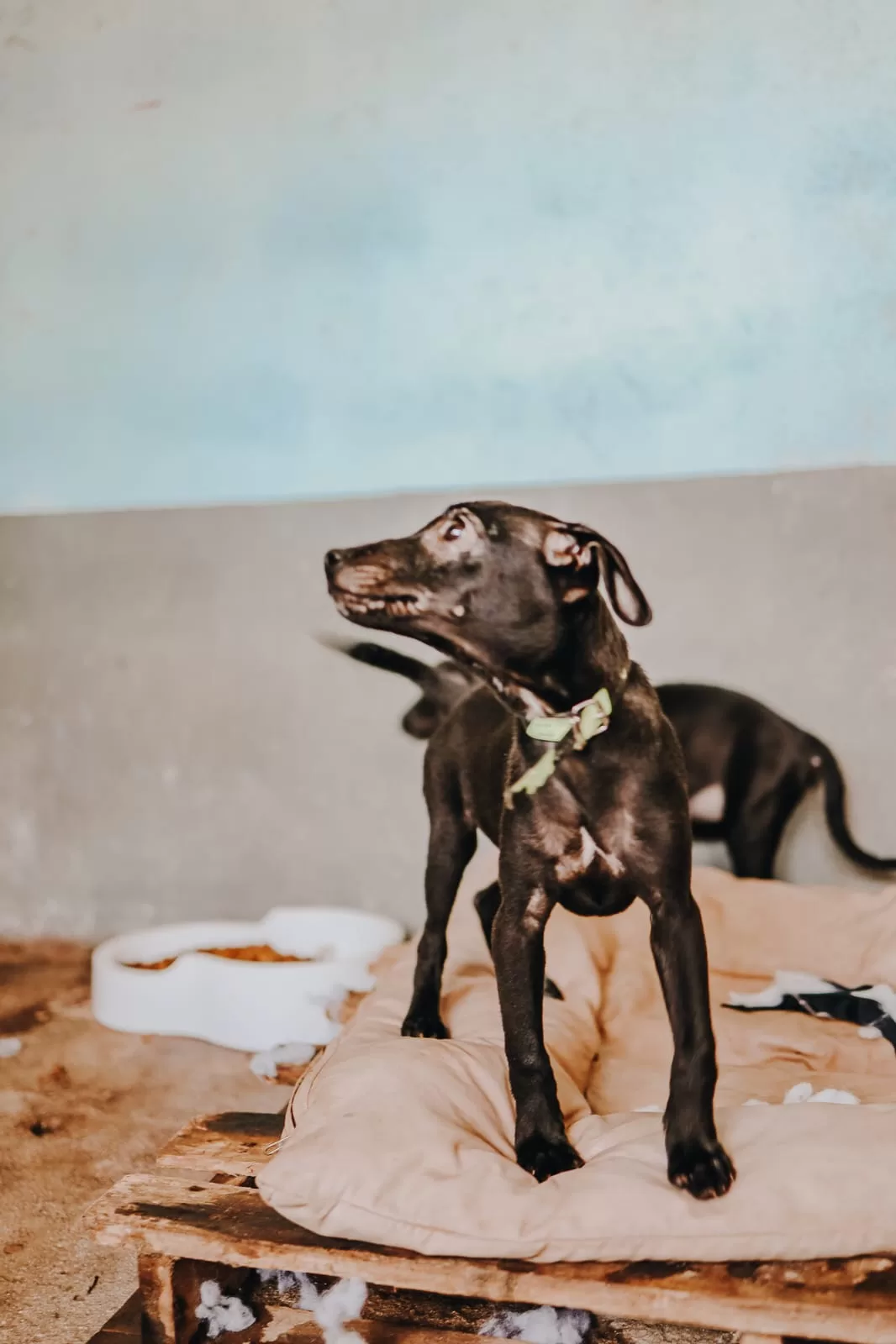 whatsapp image 2025 11 06 at 14.39.50 (1)