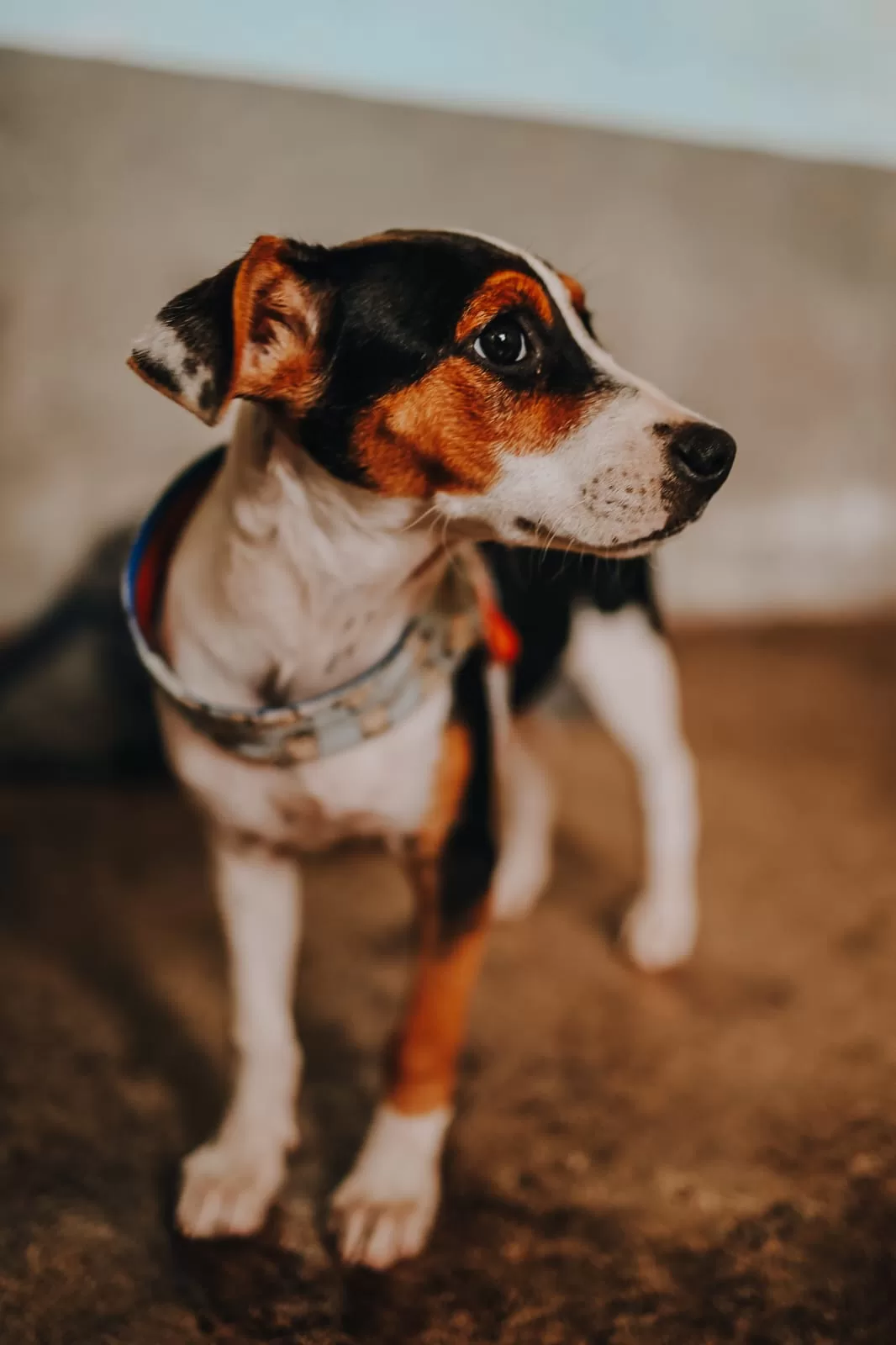 whatsapp image 2025 11 06 at 14.39.50 (2)