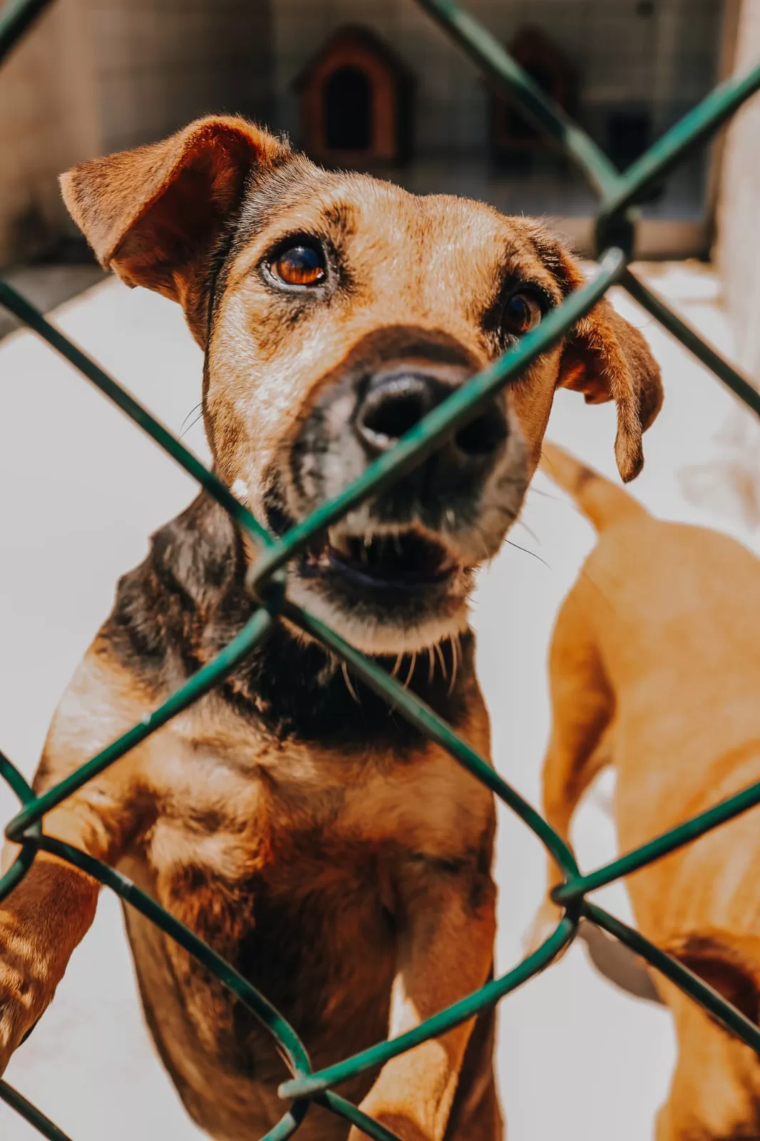 whatsapp image 2025 11 06 at 14.39.50