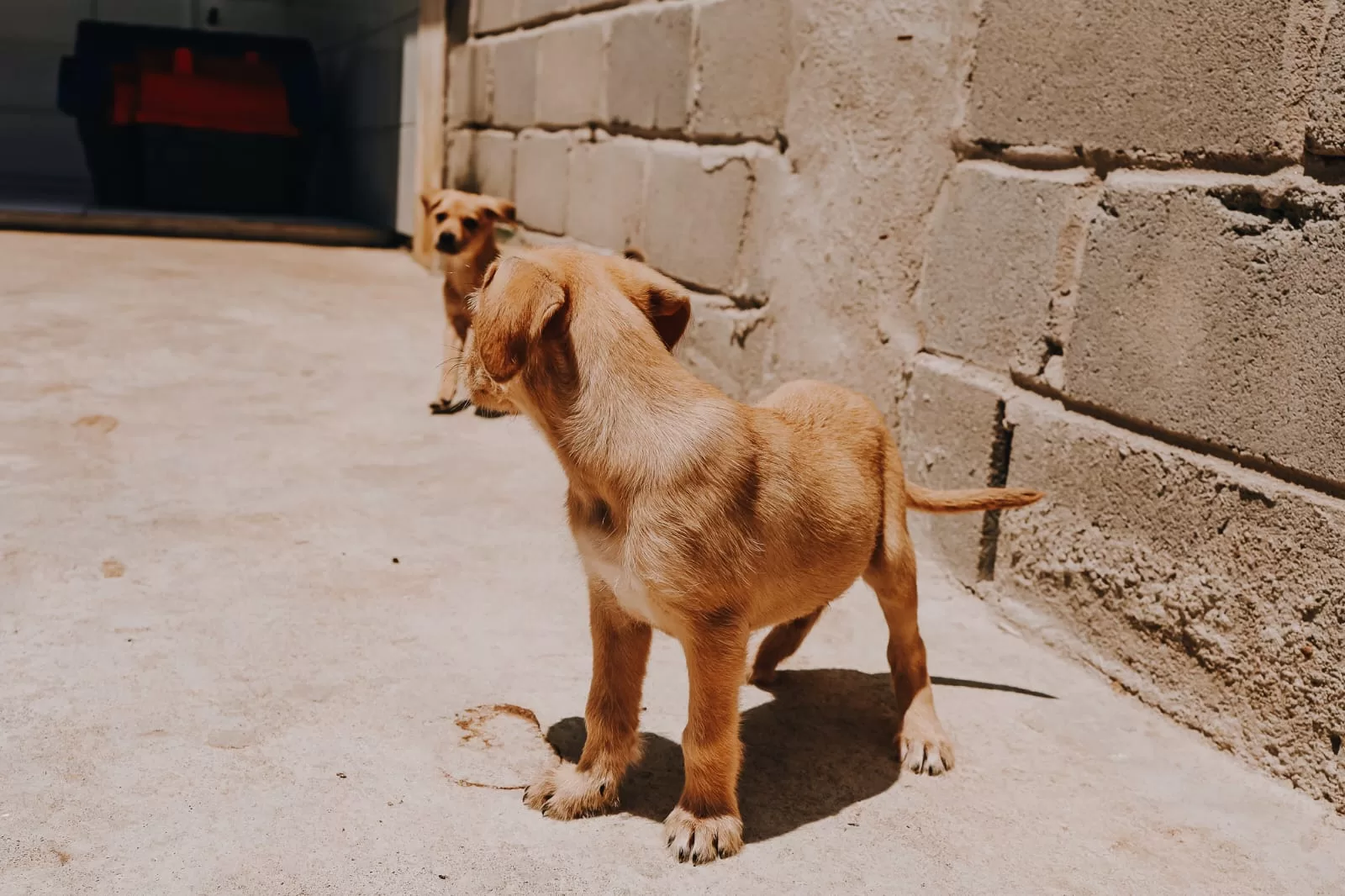 whatsapp image 2025 11 06 at 14.39.51 (1)