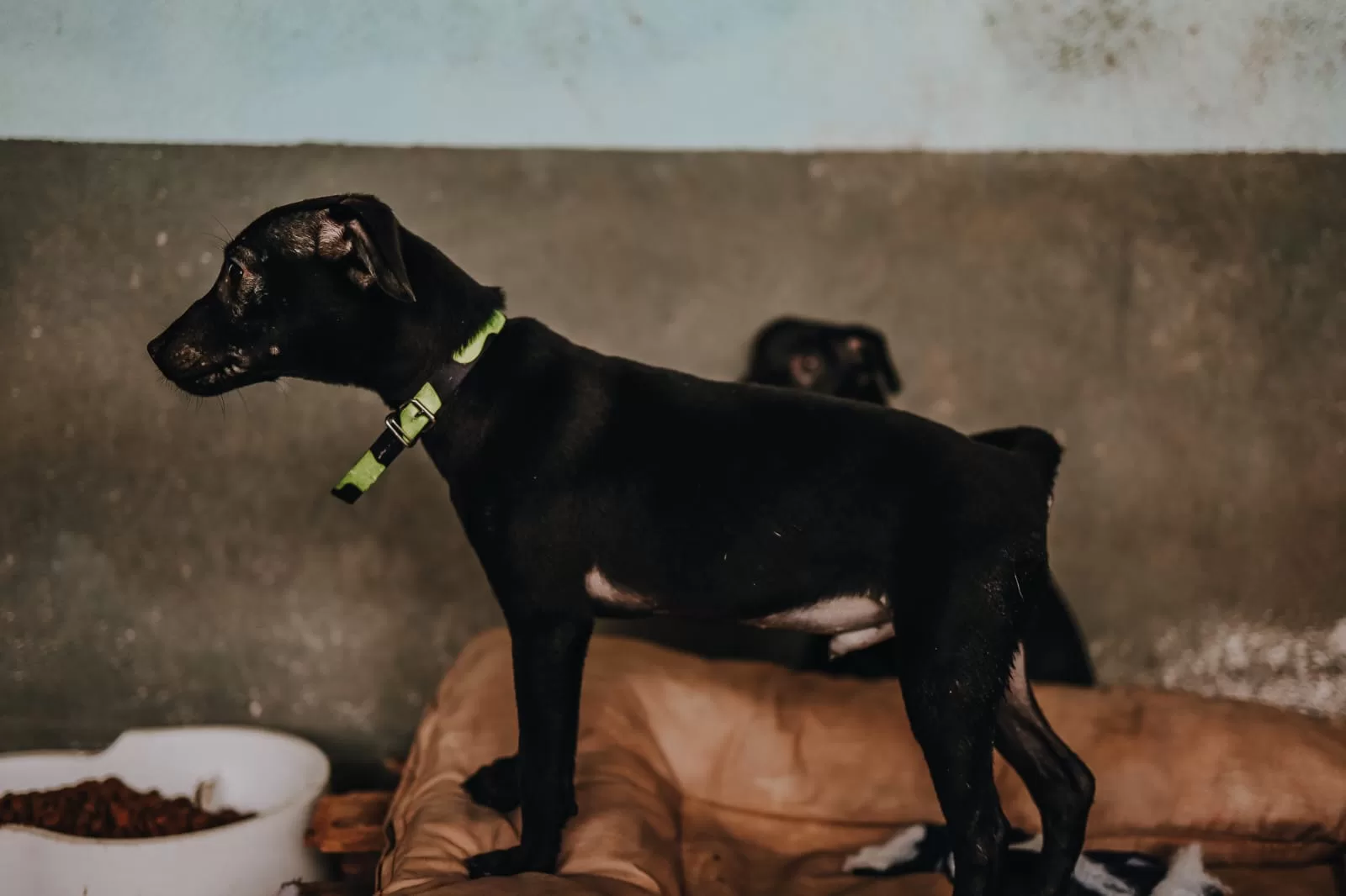 whatsapp image 2025 11 06 at 14.39.51 (2)