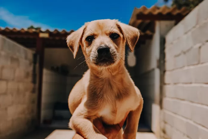 whatsapp image 2025 11 06 at 14.39.51 (3)