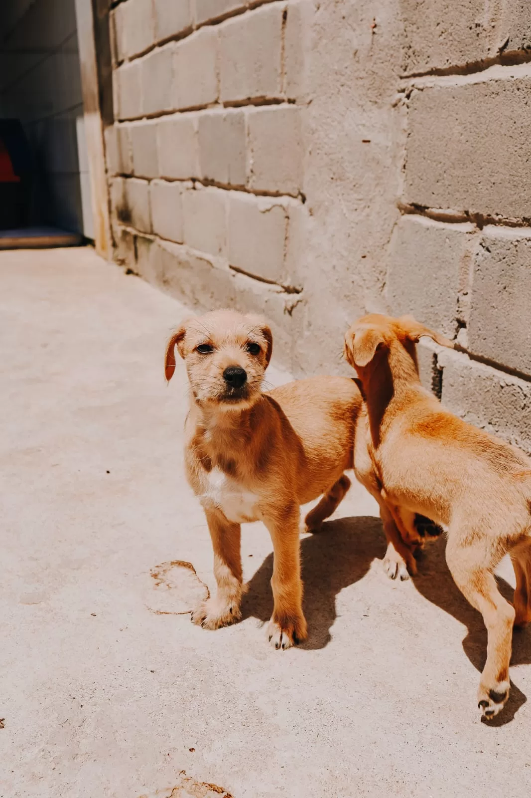 whatsapp image 2025 11 06 at 14.39.51