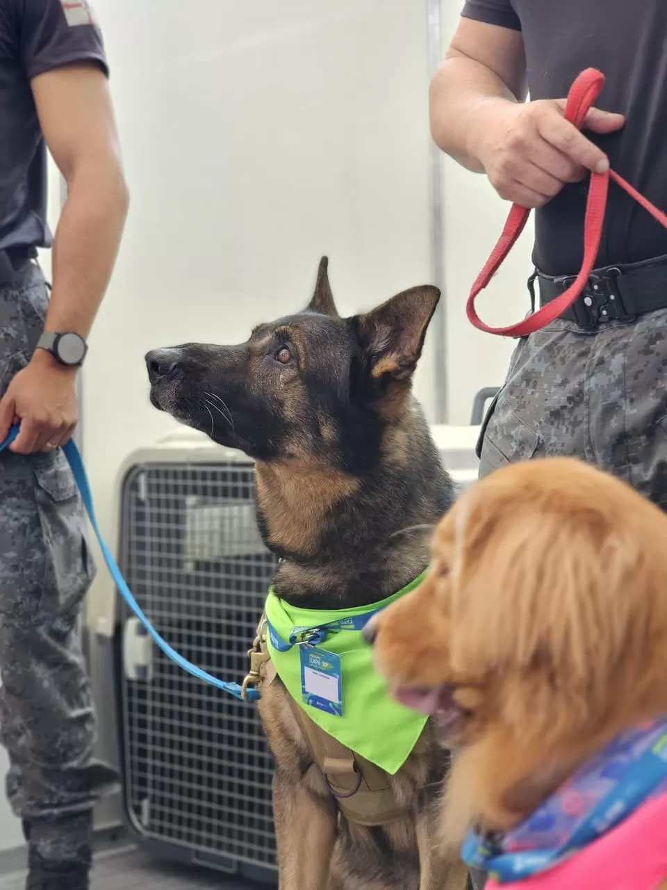 whatsapp image 2025 11 06 at 15.40.44 (1)