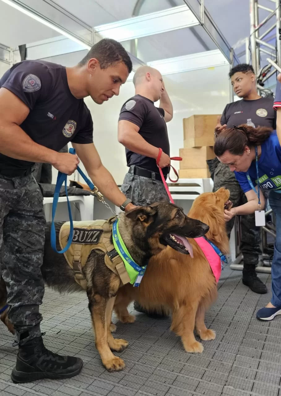 whatsapp image 2025 11 06 at 15.40.44