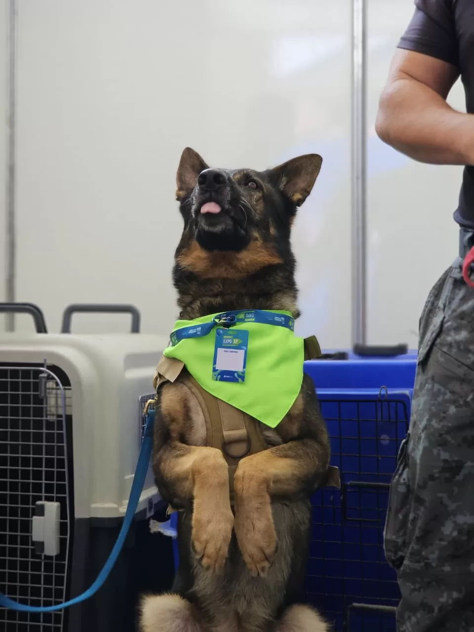 whatsapp image 2025 11 06 at 15.40.45 (3)