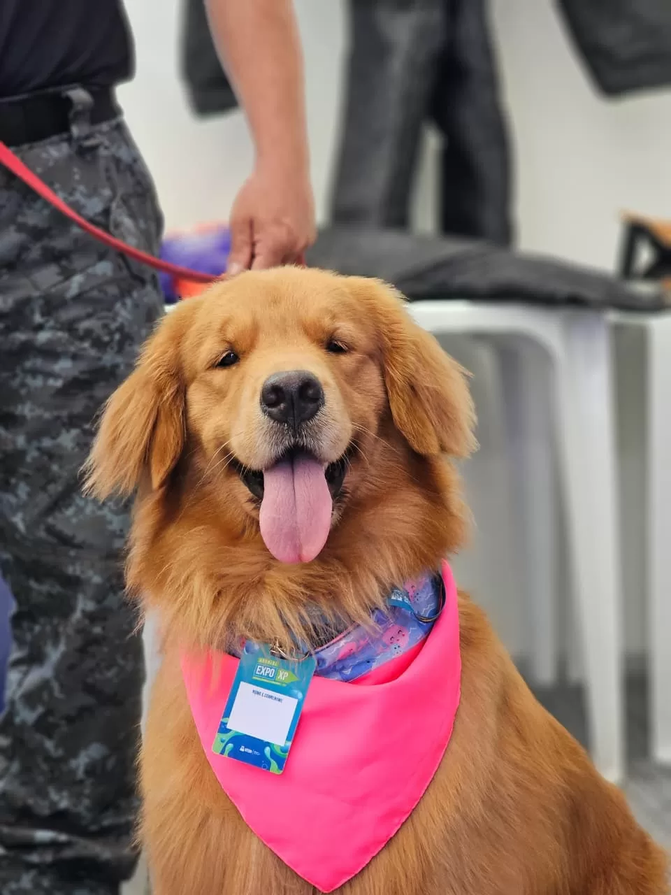 whatsapp image 2025 11 06 at 15.40.46