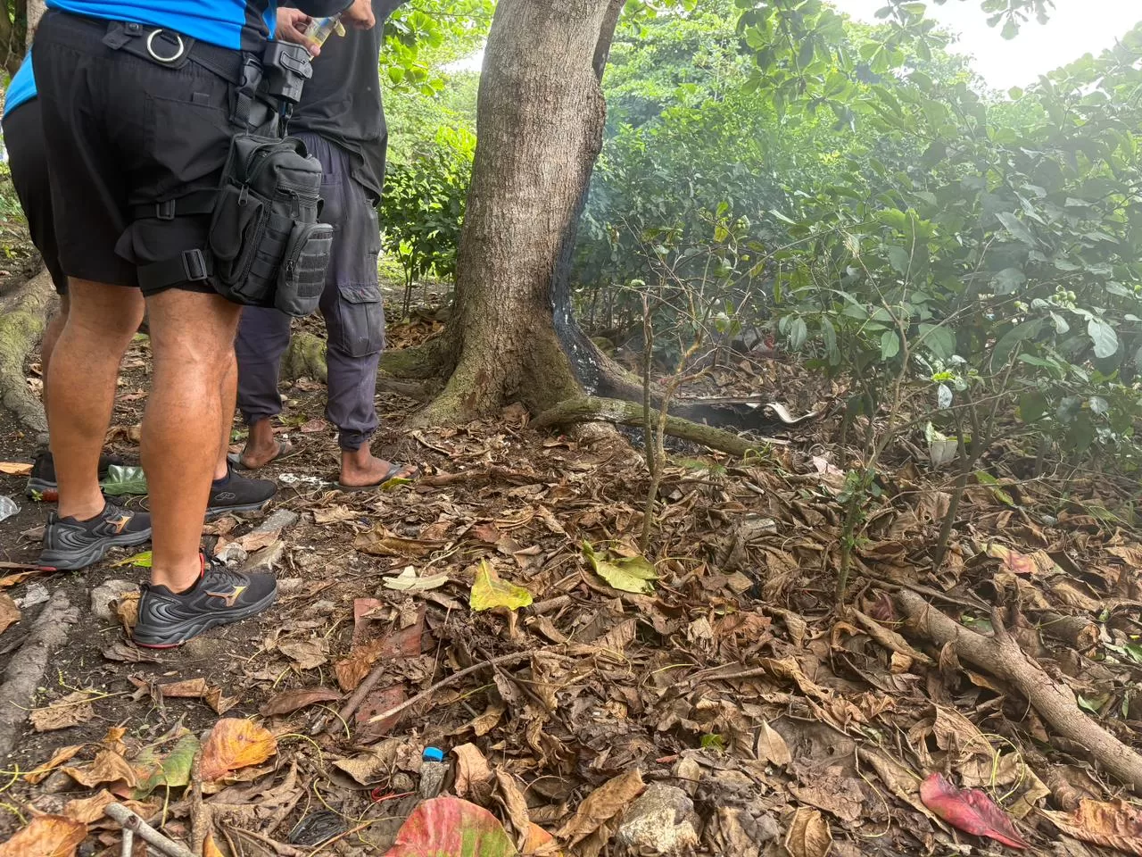 whatsapp image 2025 11 06 at 16.37.36 (1)