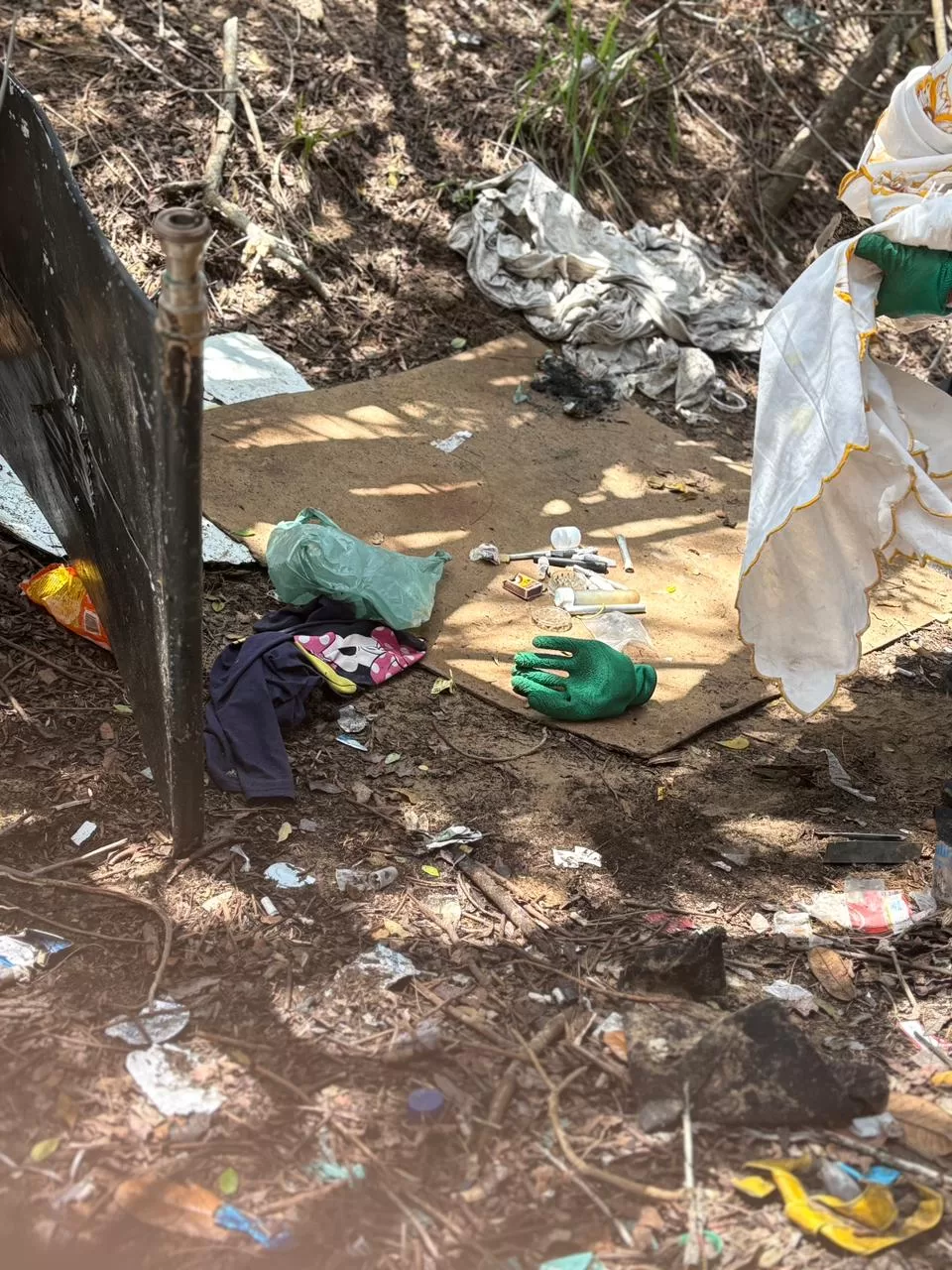 whatsapp image 2025 11 06 at 16.37.37