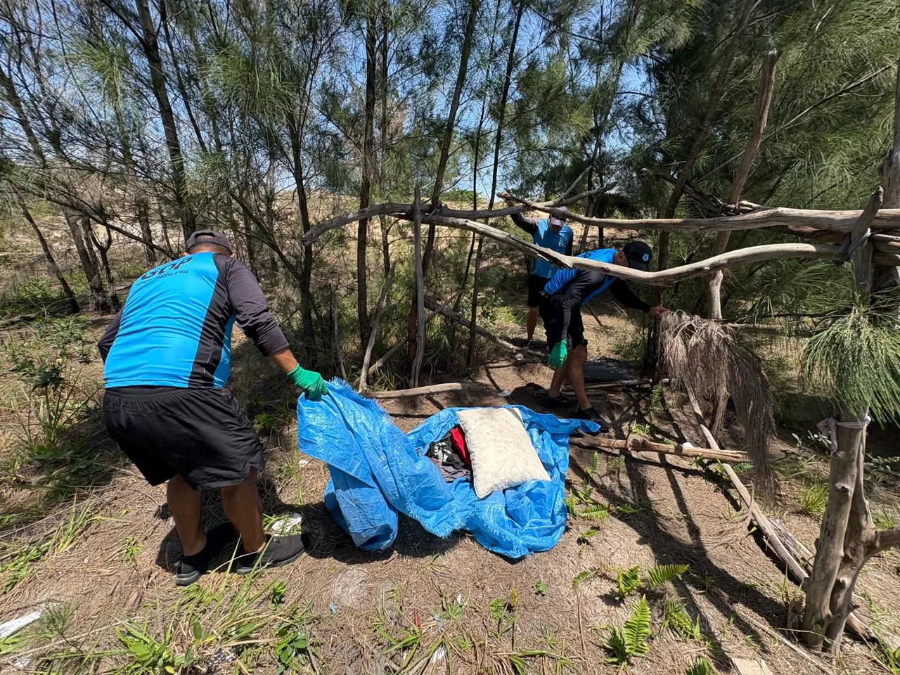 whatsapp image 2025 11 06 at 16.37.39