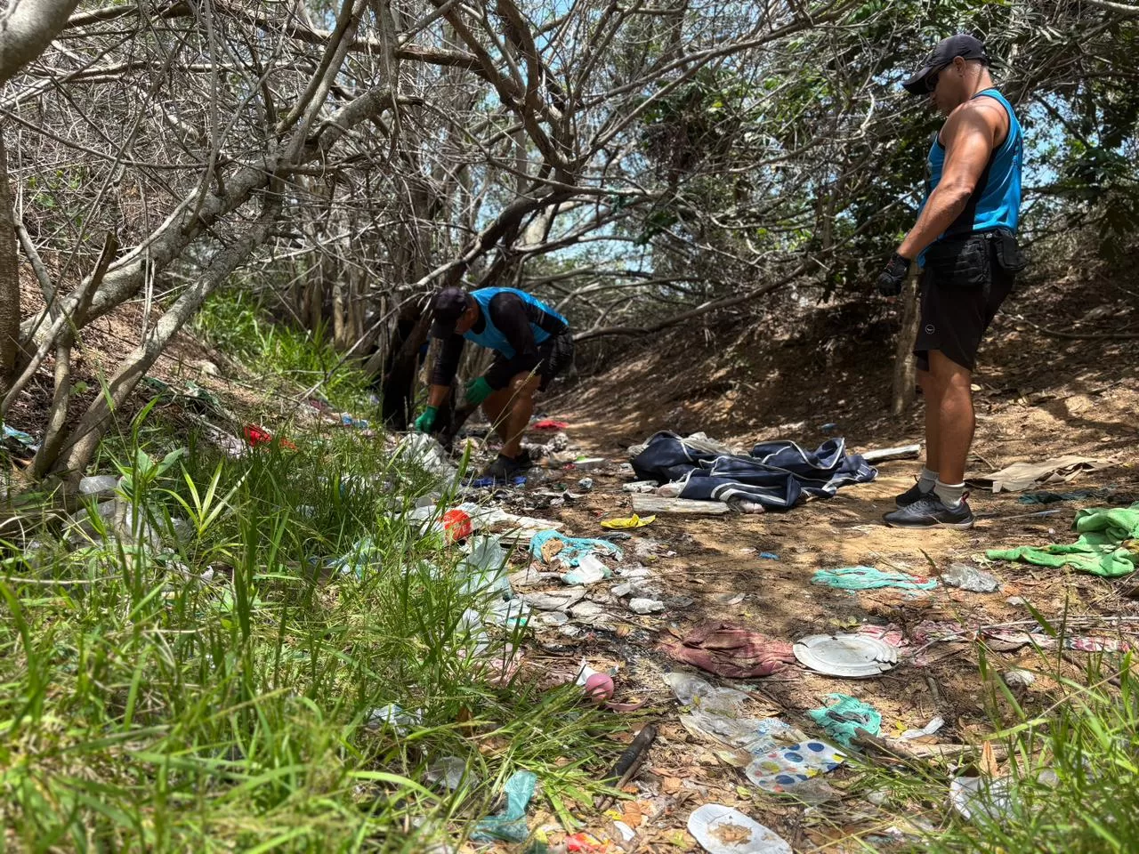 whatsapp image 2025 11 06 at 16.37.40 (1)