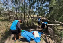 Guarda Municipal evita incêndio e encontra acampamentos irregulares em área de dunas em Cabo Frio whatsapp image 2025 11 06 at 16.37.40