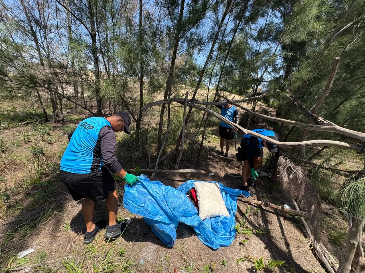 whatsapp image 2025 11 06 at 16.37.40