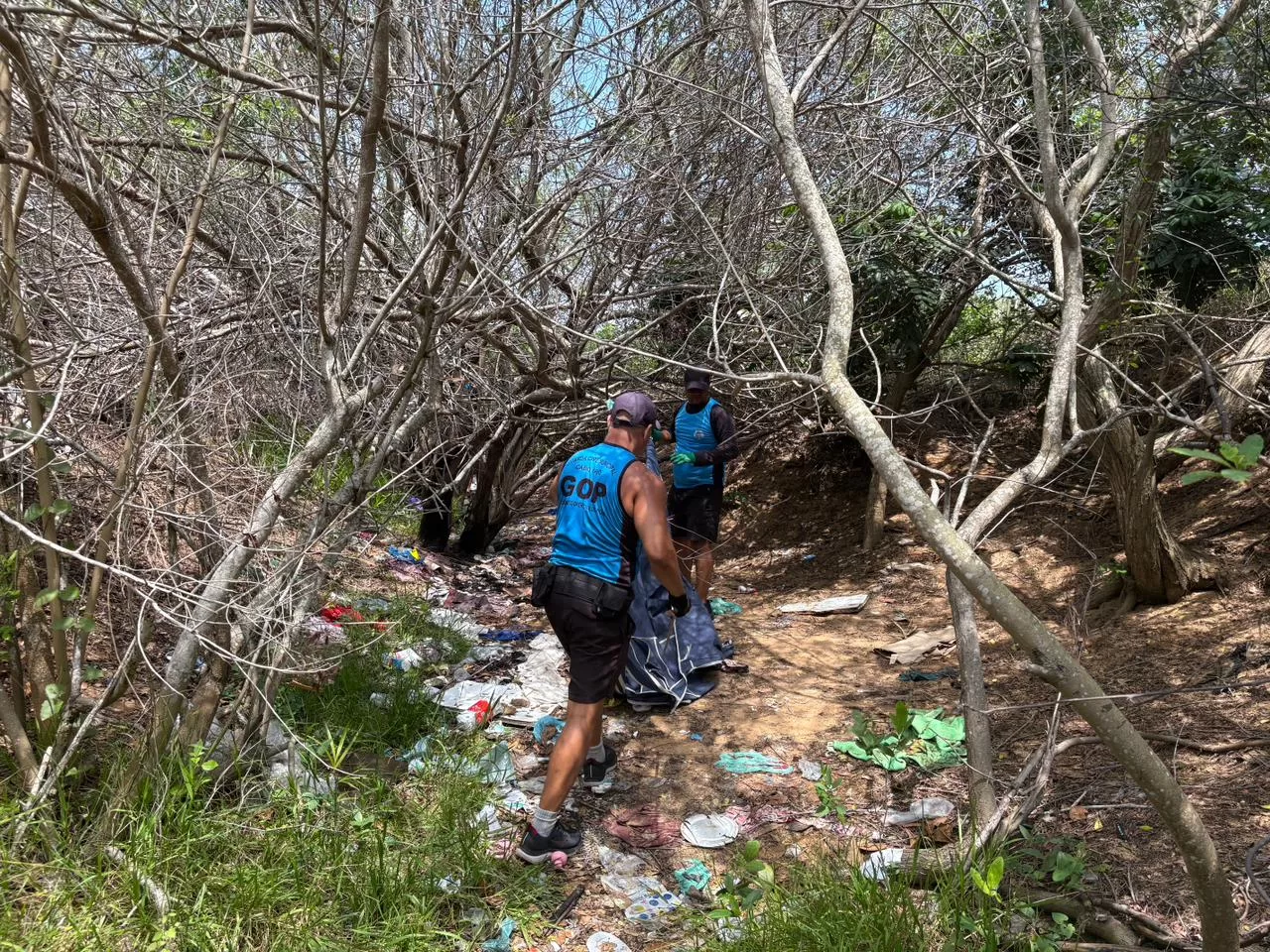 whatsapp image 2025 11 06 at 16.37.41