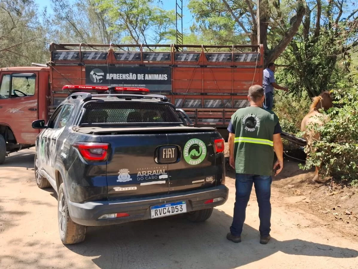 whatsapp image 2025 11 07 at 14.50.29 (1)