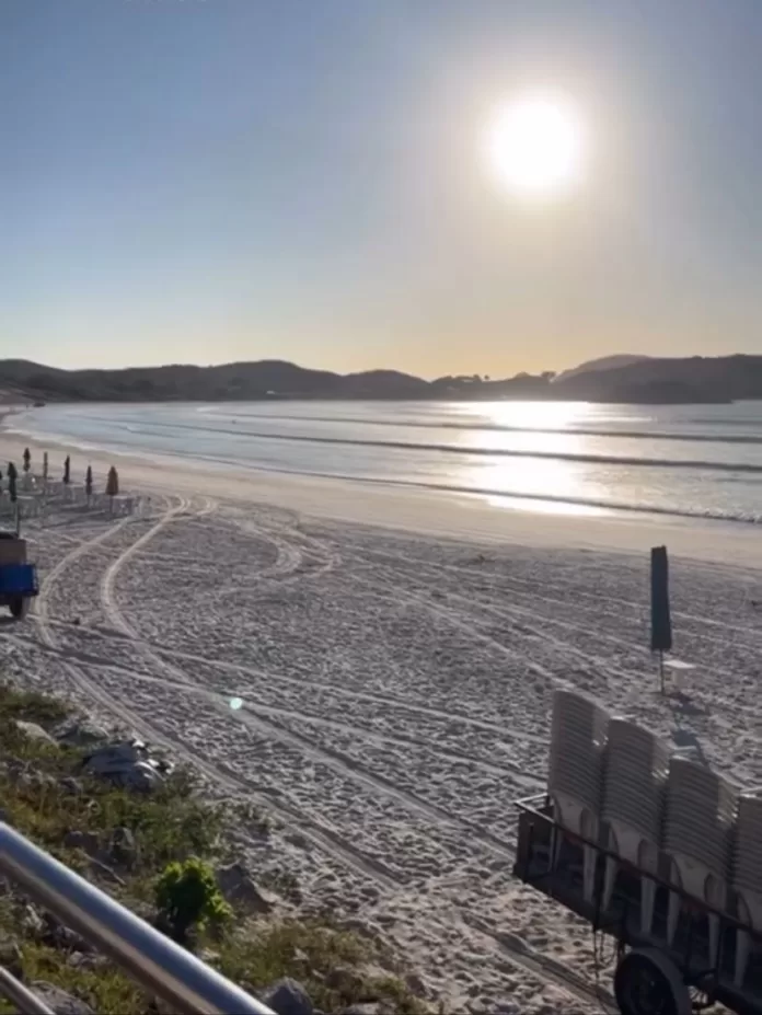 whatsapp image 2025 11 12 at 12.19.29