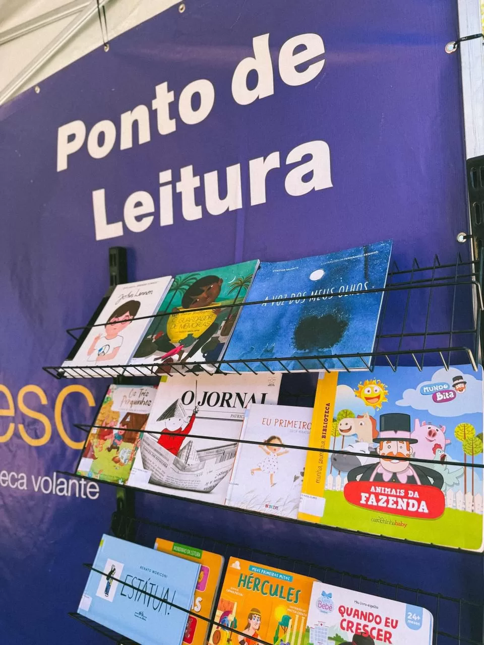 whatsapp image 2025 11 12 at 14.13.59