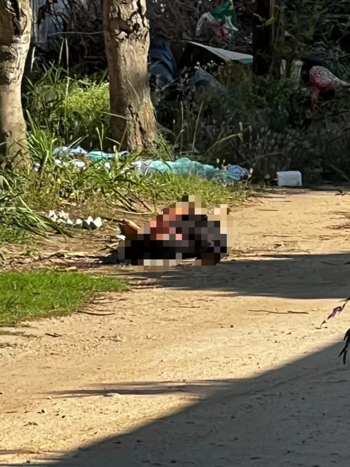 whatsapp image 2025 11 13 at 10.39.55