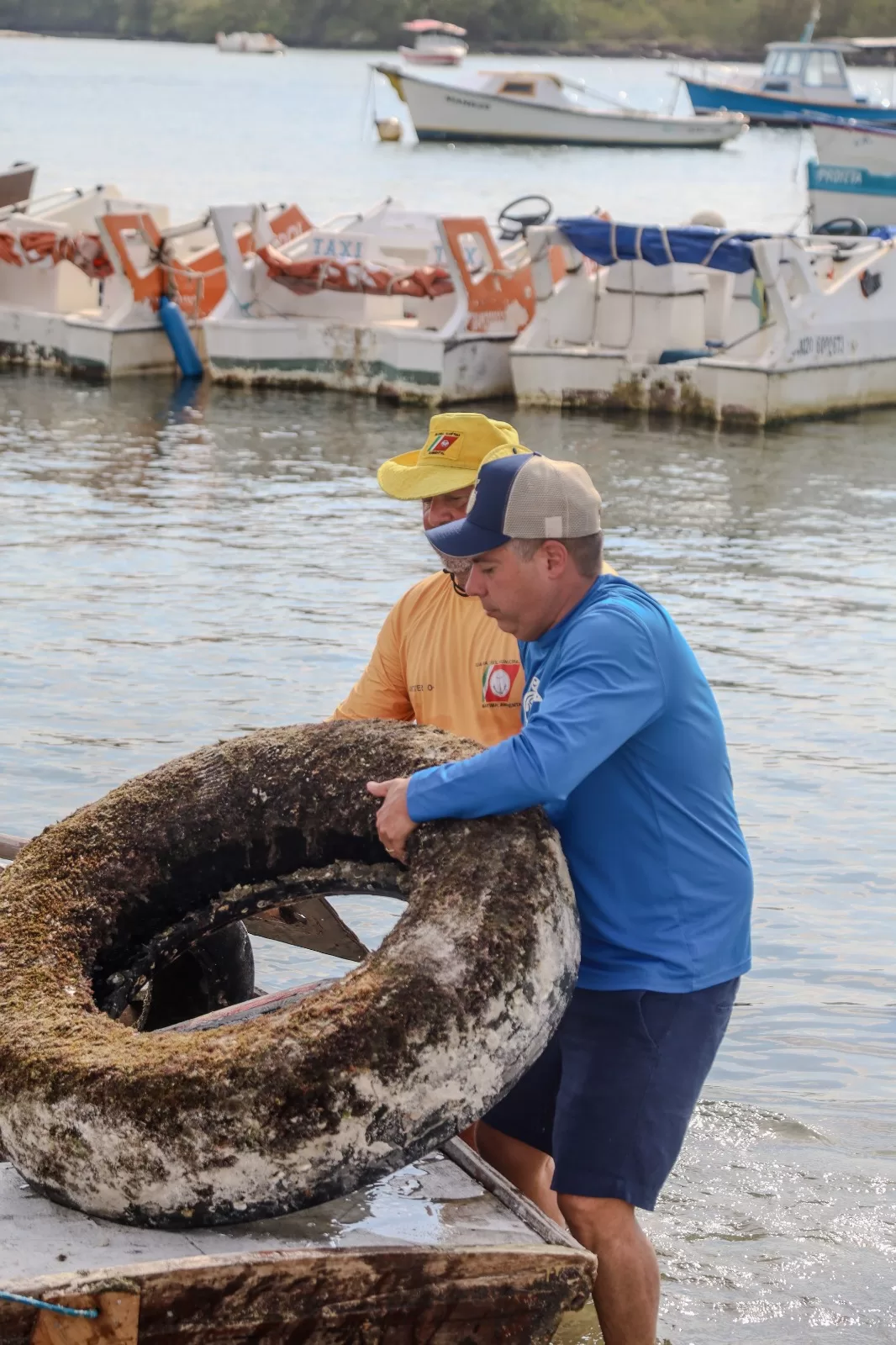 whatsapp image 2025 11 17 at 10.13.39 (1)