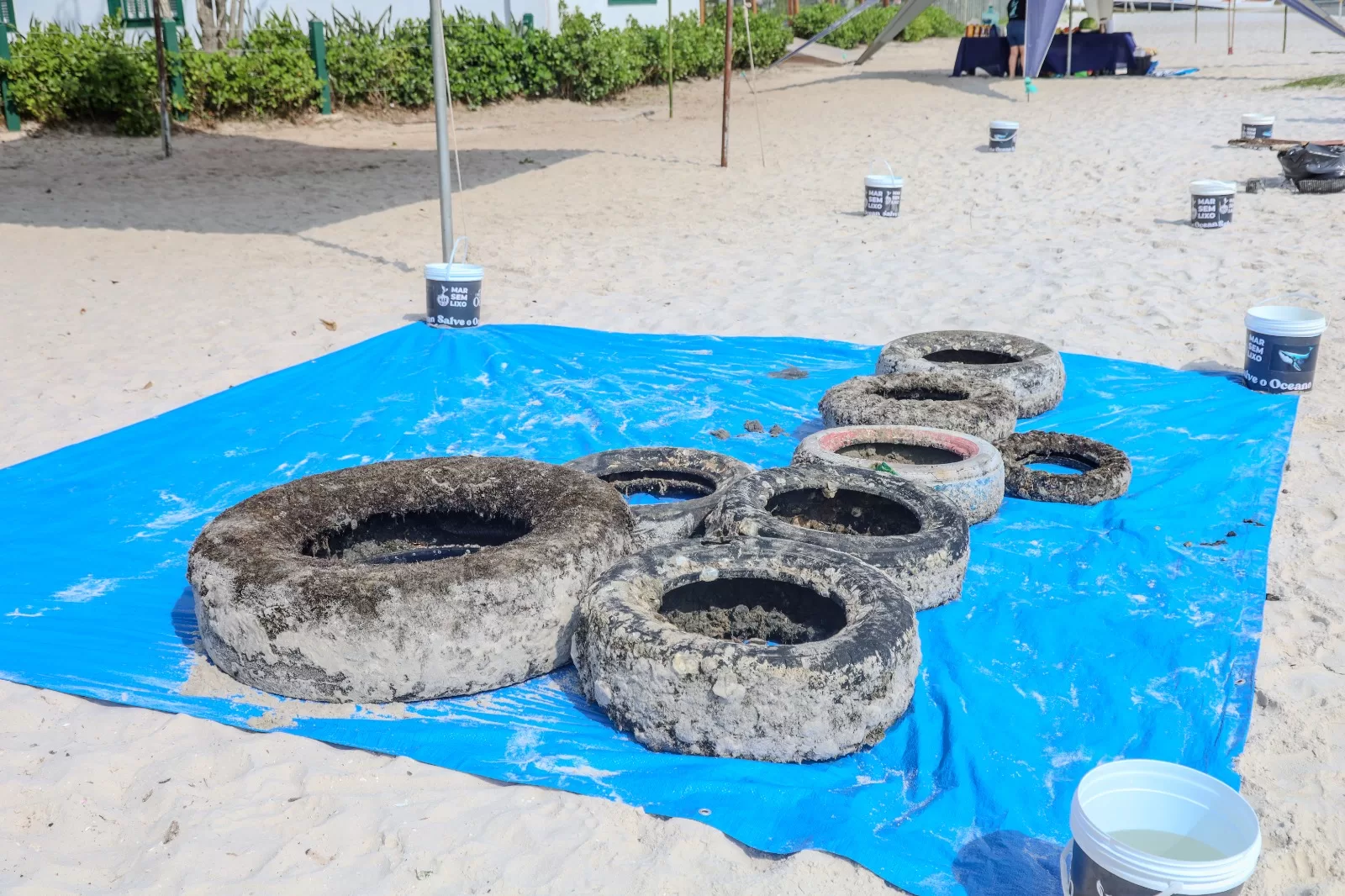 whatsapp image 2025 11 17 at 10.13.39