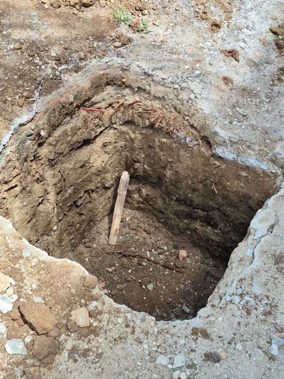 whatsapp image 2025 11 17 at 17.28.59