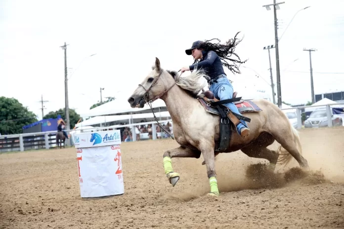 692ed86f9c956mmq2d larg