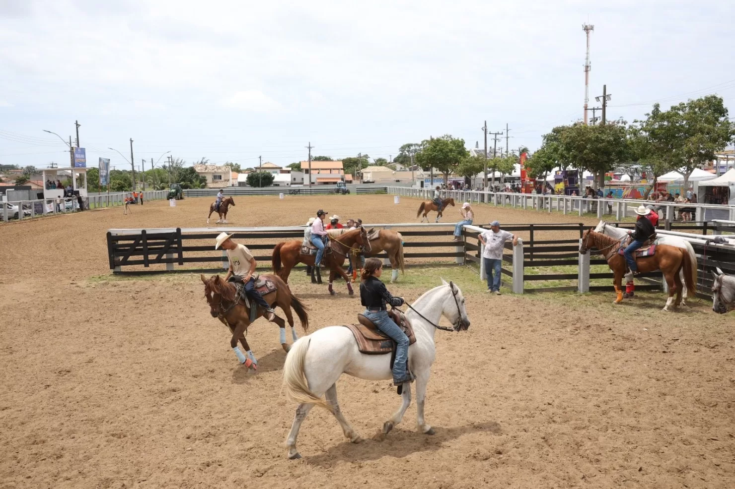 692ed8852768c19pot larg