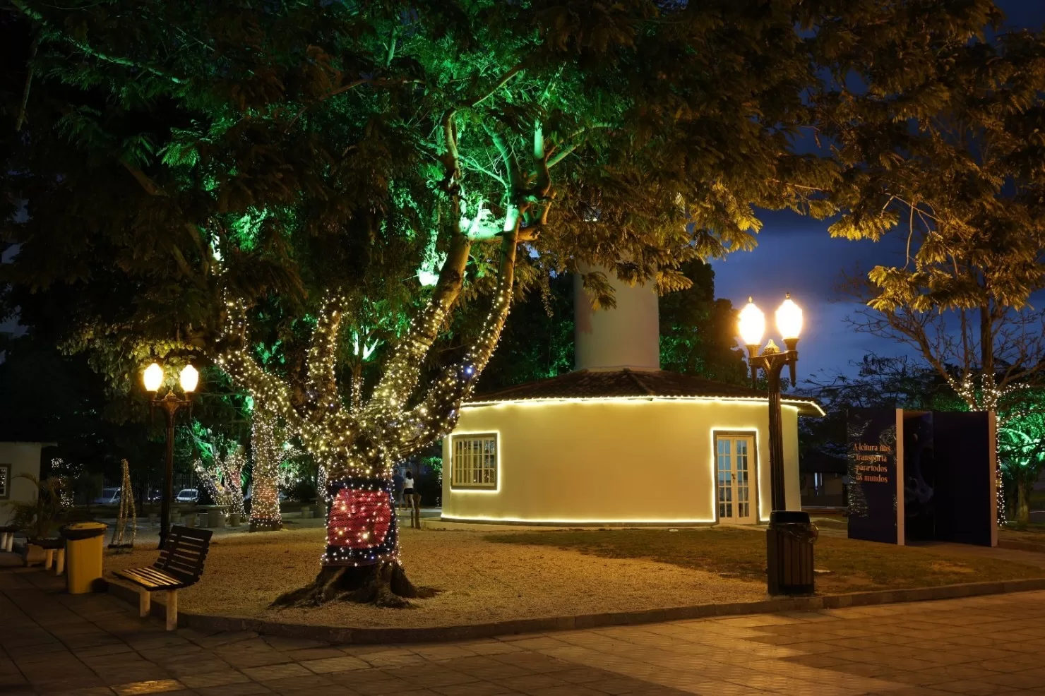 693182c9e8a9cjwnku larg