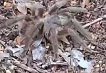 88c9c299 c85c 429d be79 a0b85a24e0cc rgj73cyb4udbpfyjur5ss1xm4ow4xtdmo5pi9sd4f4