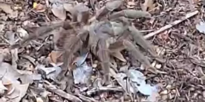 88c9c299 c85c 429d be79 a0b85a24e0cc rgj73cyb4udbpfyjur5ss1xm4ow4xtdmo5pi9sd4f4