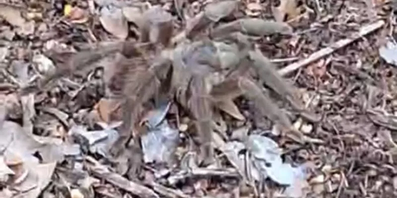 88c9c299 c85c 429d be79 a0b85a24e0cc rgj73cyb4udbpfyjur5ss1xm4ow4xtdmo5pi9sd4f4