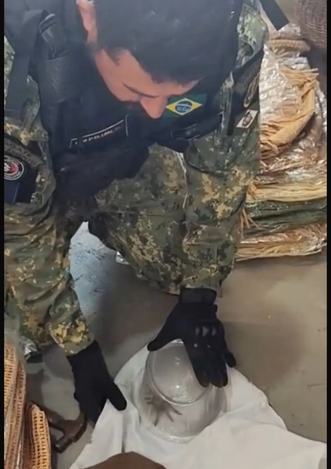 a9f0d206 bee3 4997 bf21 7ace06cc3b4e