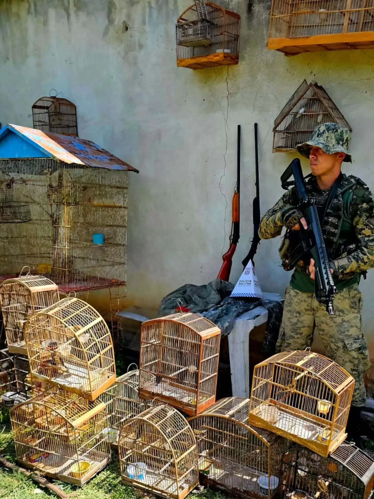 cpam pmerj 1765554725 3786069908929750043 7594063426