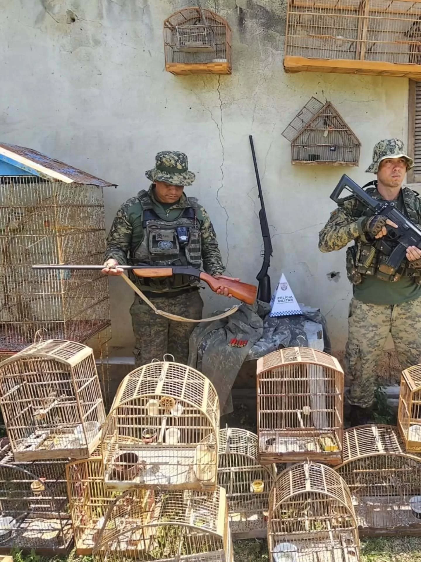 cpam pmerj 1765554725 3786069908929766928 7594063426