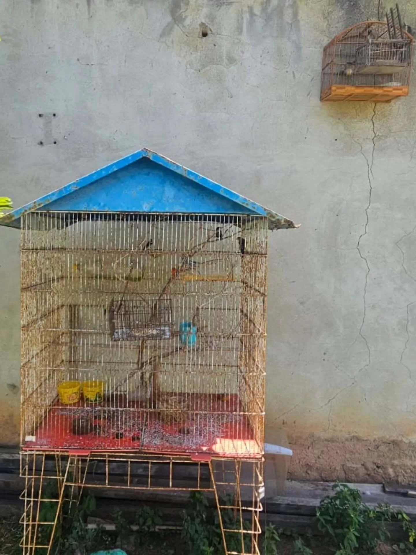 cpam pmerj 1765554725 3786069908946549676 7594063426