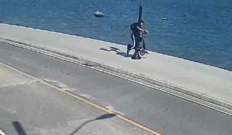 imagem do whatsapp de 2025 12 03 à(s) 10.07.39 372e91e8