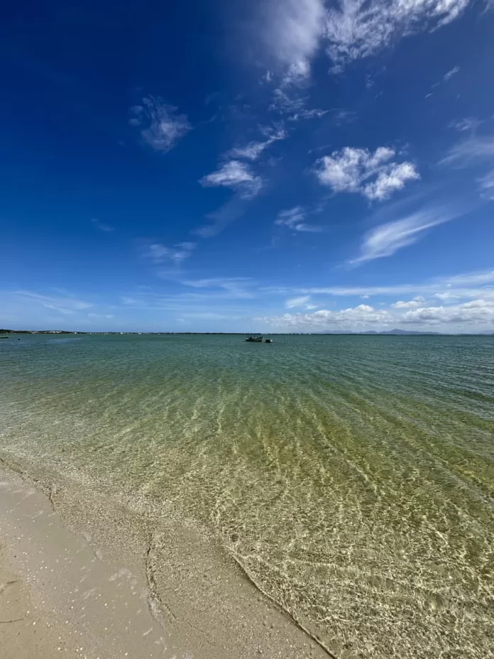 imagem do whatsapp de 2025 12 03 à(s) 13.56.59 c0466cc2