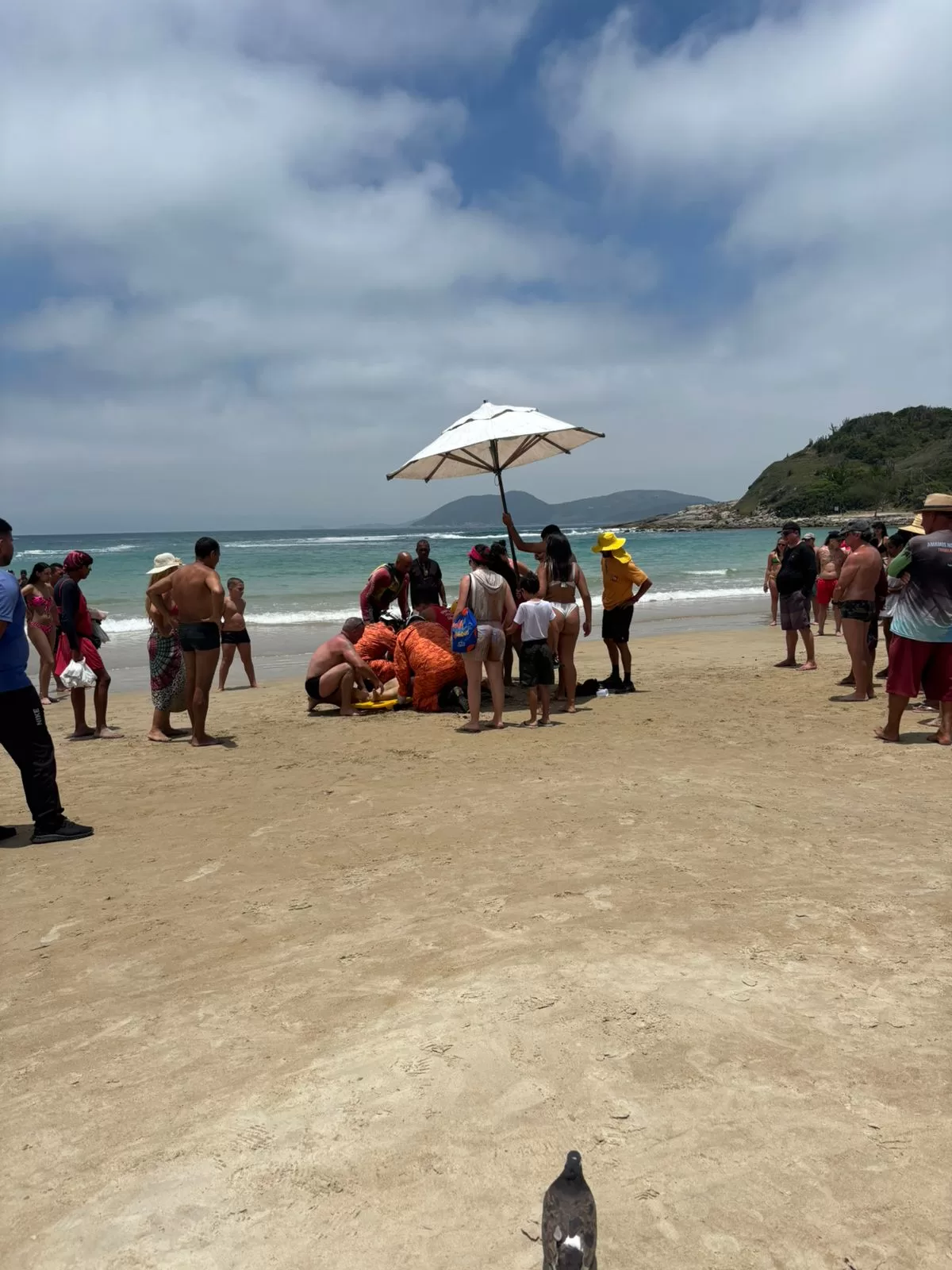 imagem do whatsapp de 2025 12 09 à(s) 08.16.13 a8039bda