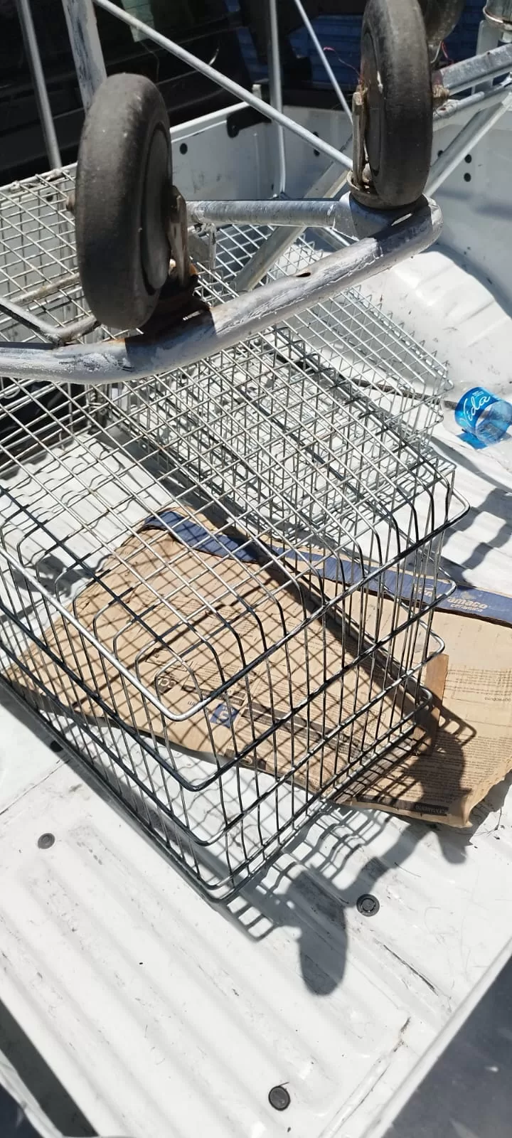 imagem do whatsapp de 2025 12 11 à(s) 16.19.46 15dfe771