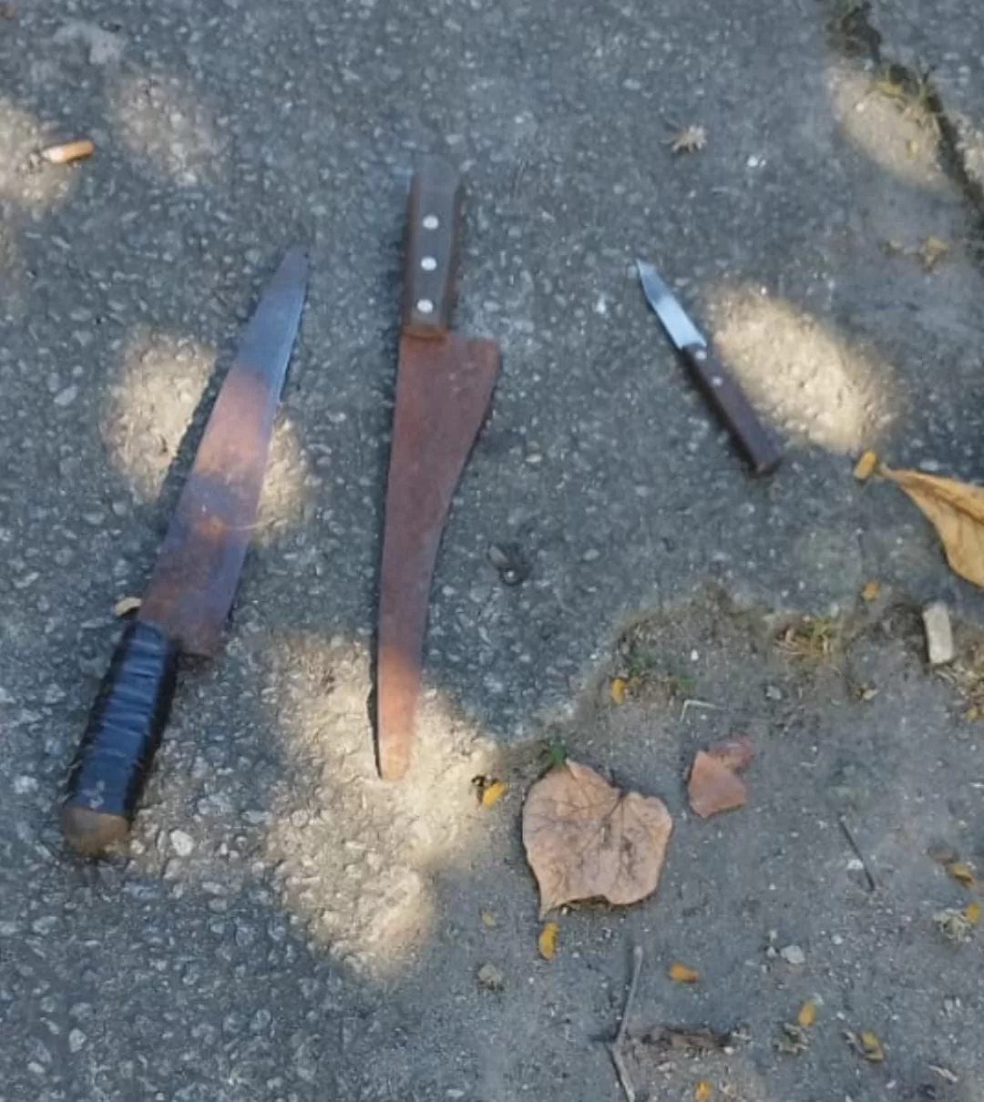 imagem do whatsapp de 2025 12 11 à(s) 16.19.46 baf1390f