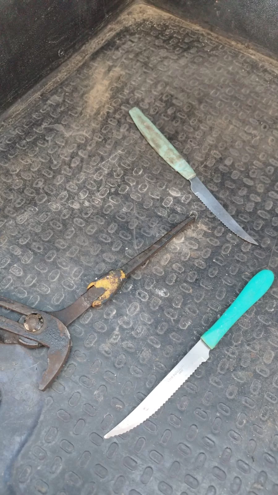 imagem do whatsapp de 2025 12 11 à(s) 16.19.47 8013461d