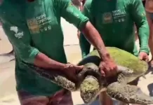 img 20251222 wa0386(1)