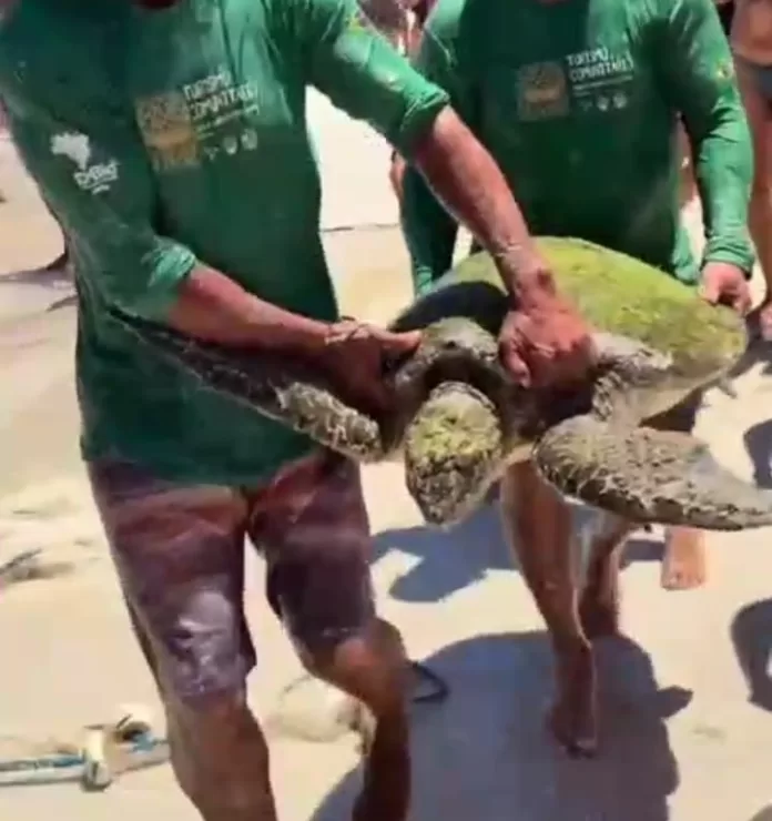 img 20251222 wa0386(1)