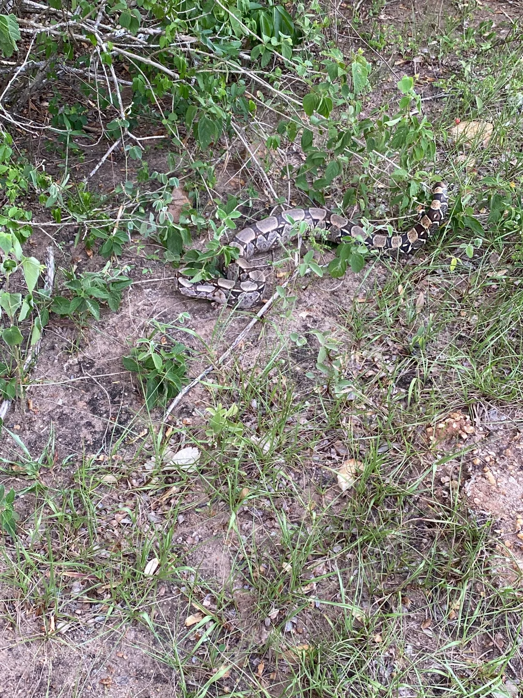 regiaodoslagosnoticia 1765550215 3786032072884237808 56356621930