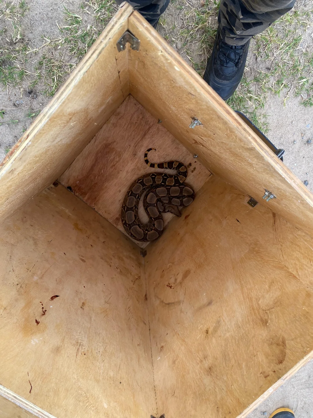 regiaodoslagosnoticia 1765550215 3786032072909420718 56356621930