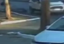 Atropelamento deixa ciclista em estado gravíssimo em Búzios; motorista fugiu screenshot 1